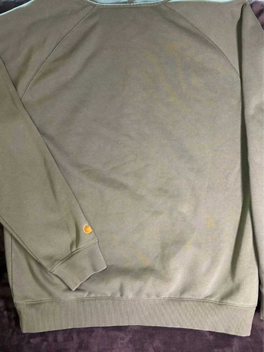 Carhartt Work in Progress Men’s Xxl Hooded Chase Sweatshirt Velvet Green